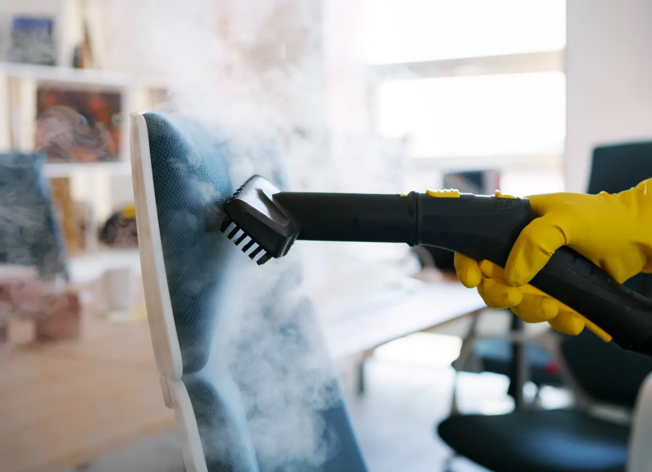 Upholstery Cleaning