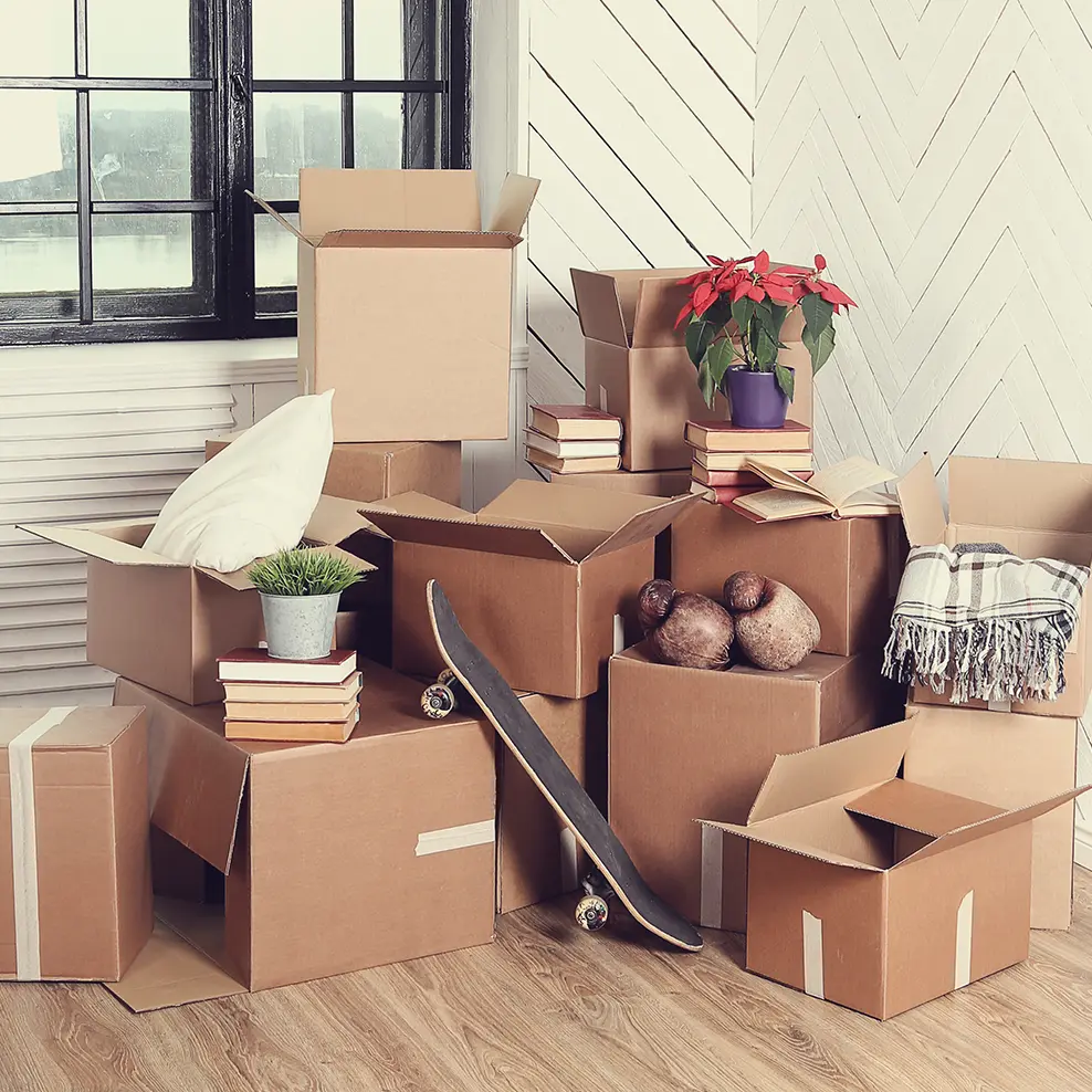 Office Removals